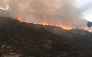 Fuegos artificiales, una ofrenda a la tierra y restos de una caja china, causas de incendios forestales en Cusco