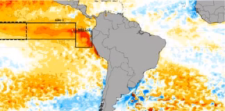 Enfen mantiene alerta por Fenómeno El Niño Costero: evento alcanzaría magnitud “moderada” entre mayo y agosto